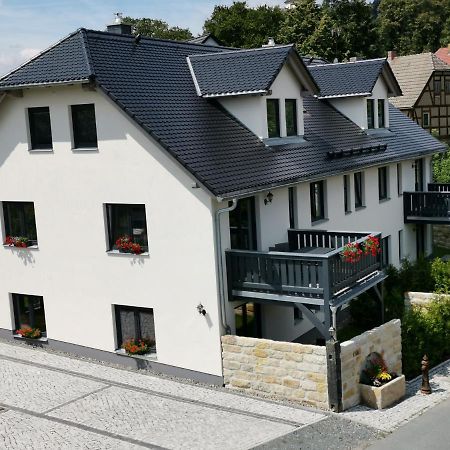 Apartment Vetter "Haentzschelstiege" Estância Termal de Gohrisch Exterior foto