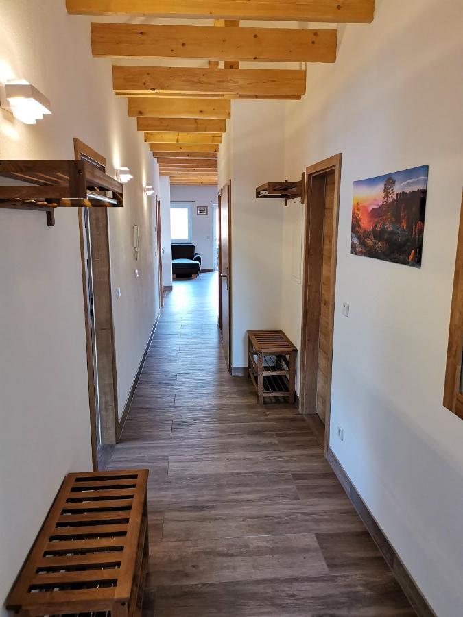 Apartment Vetter "Haentzschelstiege" Estância Termal de Gohrisch Exterior foto